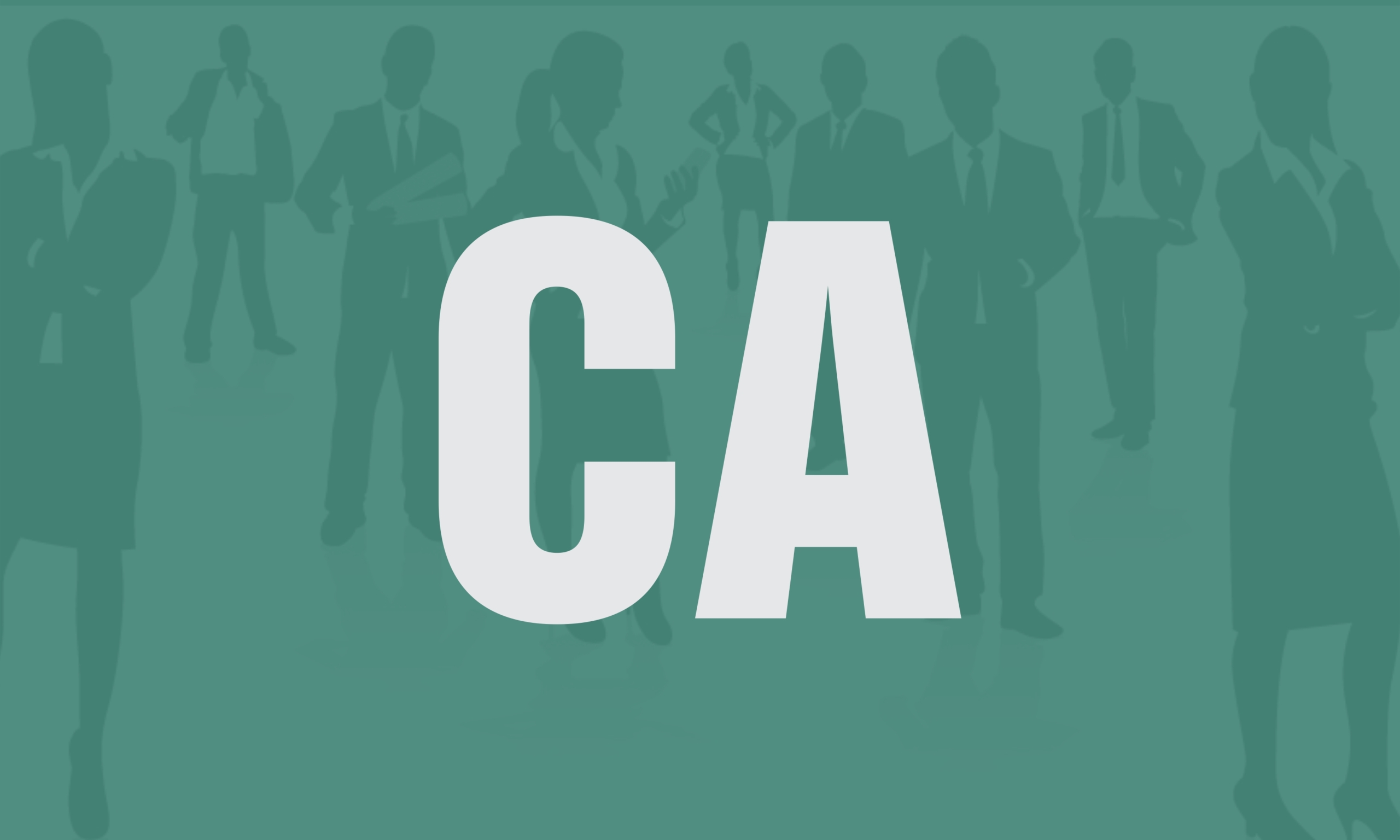 COMPUTER APPLICATION (CA)